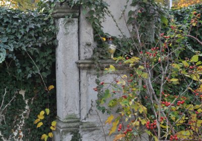 Štětí, Omnium, 2020