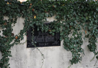 Štětí, Omnium, 2020