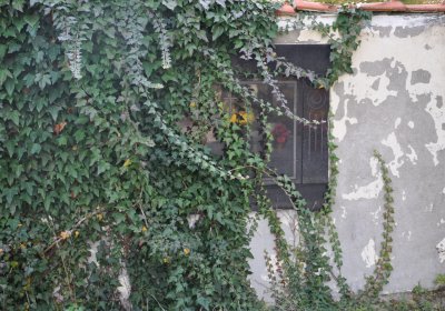 Štětí, Omnium, 2020