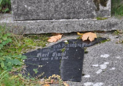 Štětí, Omnium, 2020