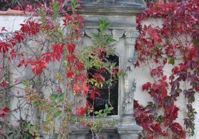 Štětí, Omnium, 2020