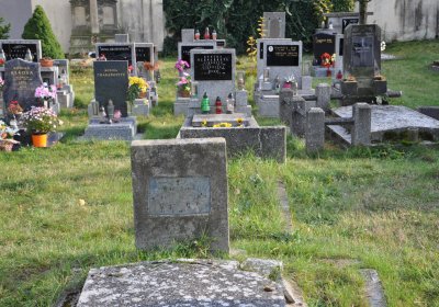 Štětí, Omnium, 2020