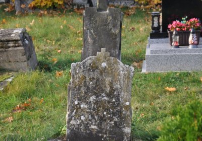 Štětí, Omnium, 2020