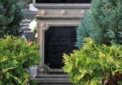 Štětí, Omnium, 2020