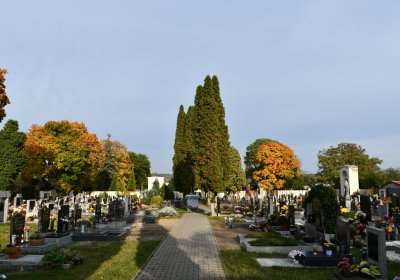 Štětí, Omnium, 2020