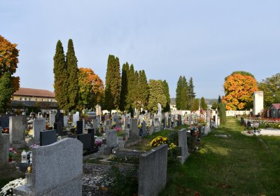 Štětí, Omnium, 2020