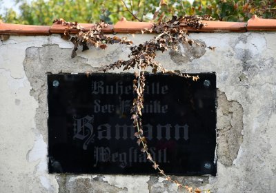 Štětí, Omnium, 2020