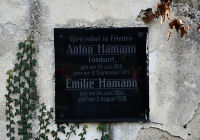 Štětí, Omnium, 2020