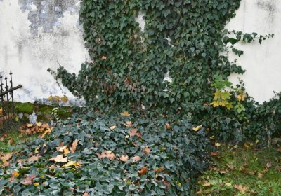 Štětí, Omnium, 2020