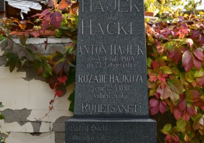 Štětí, Omnium, 2020