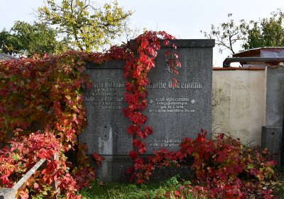 Štětí, Omnium, 2020