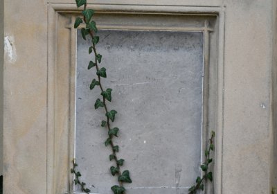 Štětí, Omnium, 2020