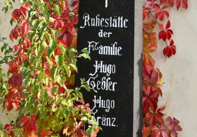 Štětí, Omnium, 2020