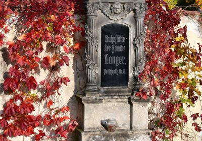 Štětí, Omnium, 2020