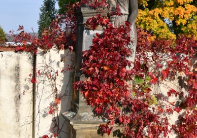 Štětí, Omnium, 2020