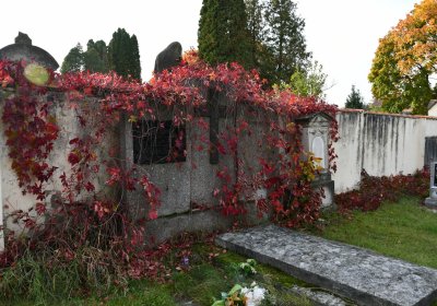 Štětí, Omnium, 2020