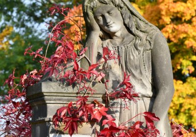 Štětí, Omnium, 2020