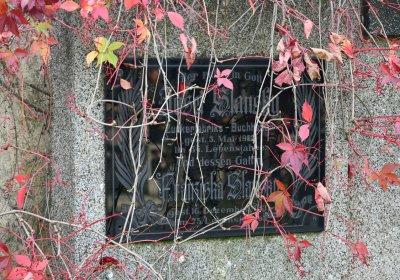 Štětí, Omnium, 2020