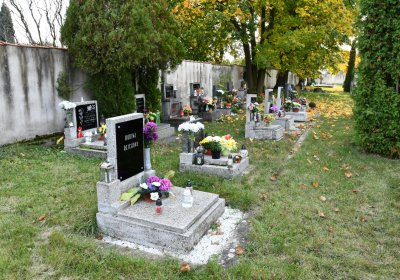 Štětí, Omnium, 2020