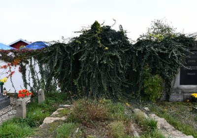 Štětí, Omnium, 2020