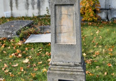 Štětí, Omnium, 2020