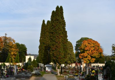 Štětí, Omnium, 2020