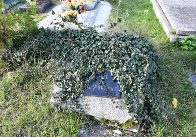 Štětí, Omnium, 2020