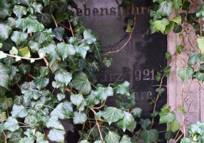 Štětí, Omnium, 2020