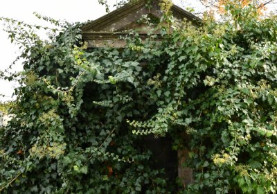 Štětí, Omnium, 2020