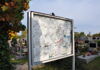 Štětí, Omnium, 2020