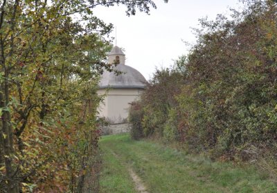 Radouň, Omnium, 2020