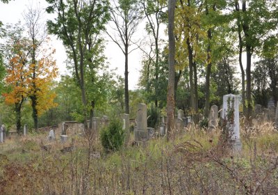 Radouň, Omnium, 2020