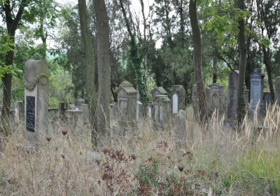 Radouň, Omnium, 2020