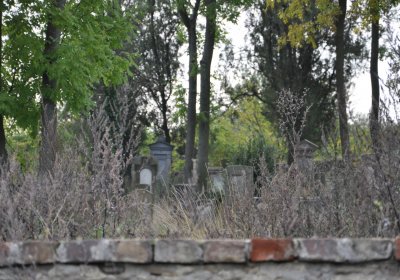 Radouň, Omnium, 2020