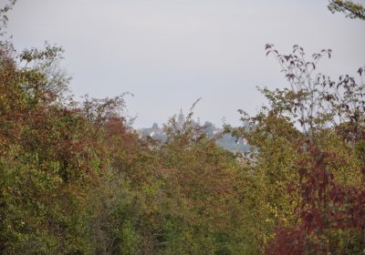 Radouň, Omnium, 2020