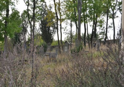 Radouň, Omnium, 2020