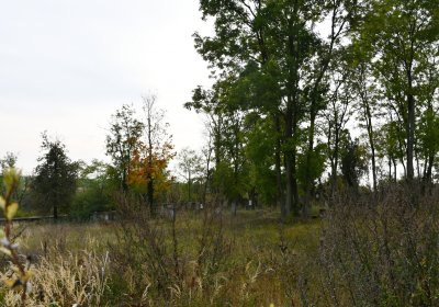 Radouň, Omnium, 2020