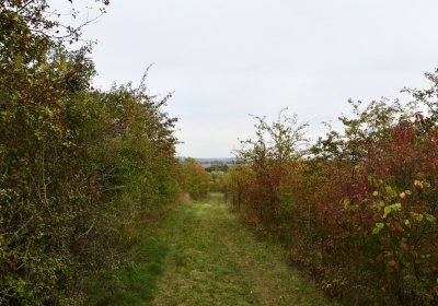 Radouň, Omnium, 2020