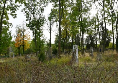 Radouň, Omnium, 2020