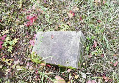 Radouň, Omnium, 2020