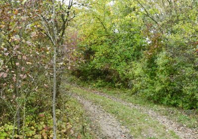 Radouň, Omnium, 2020