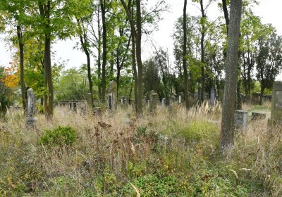 Radouň, Omnium, 2020