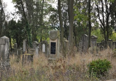 Radouň, Omnium, 2020