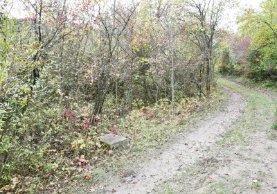 Radouň, Omnium, 2020