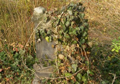 Kmínek Michal, 2019