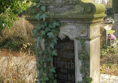 Kmínek Michal, 2019