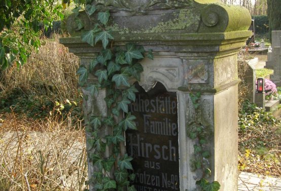 Kmínek Michal, 2019