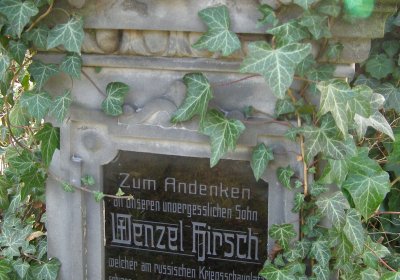 Kmínek Michal, 2019