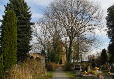 Kmínek Michal, 2019