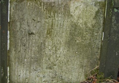 Kmínek Michal, 2019